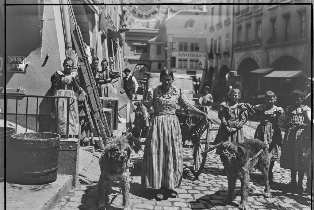 Молочница с собачьей тележкой на Марктгассе в Берне, около 1908 года