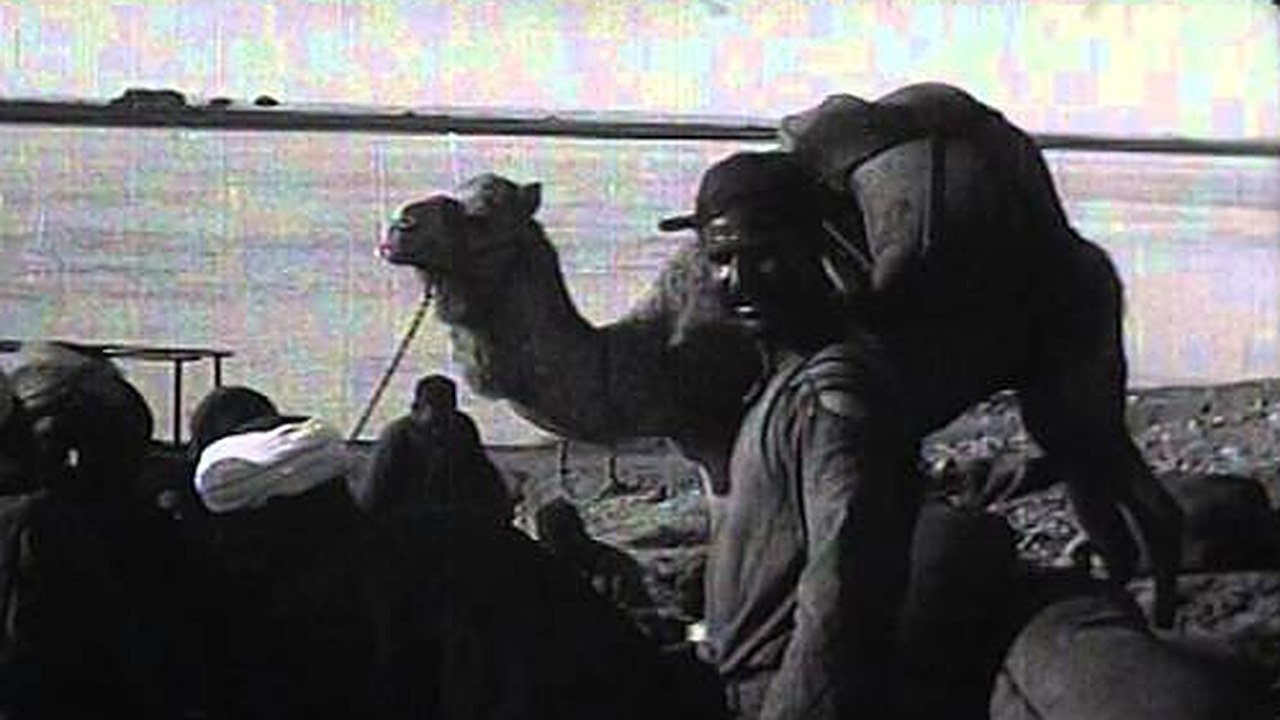 Tut-ankh Amen's Tomb (1923), Topical Budget