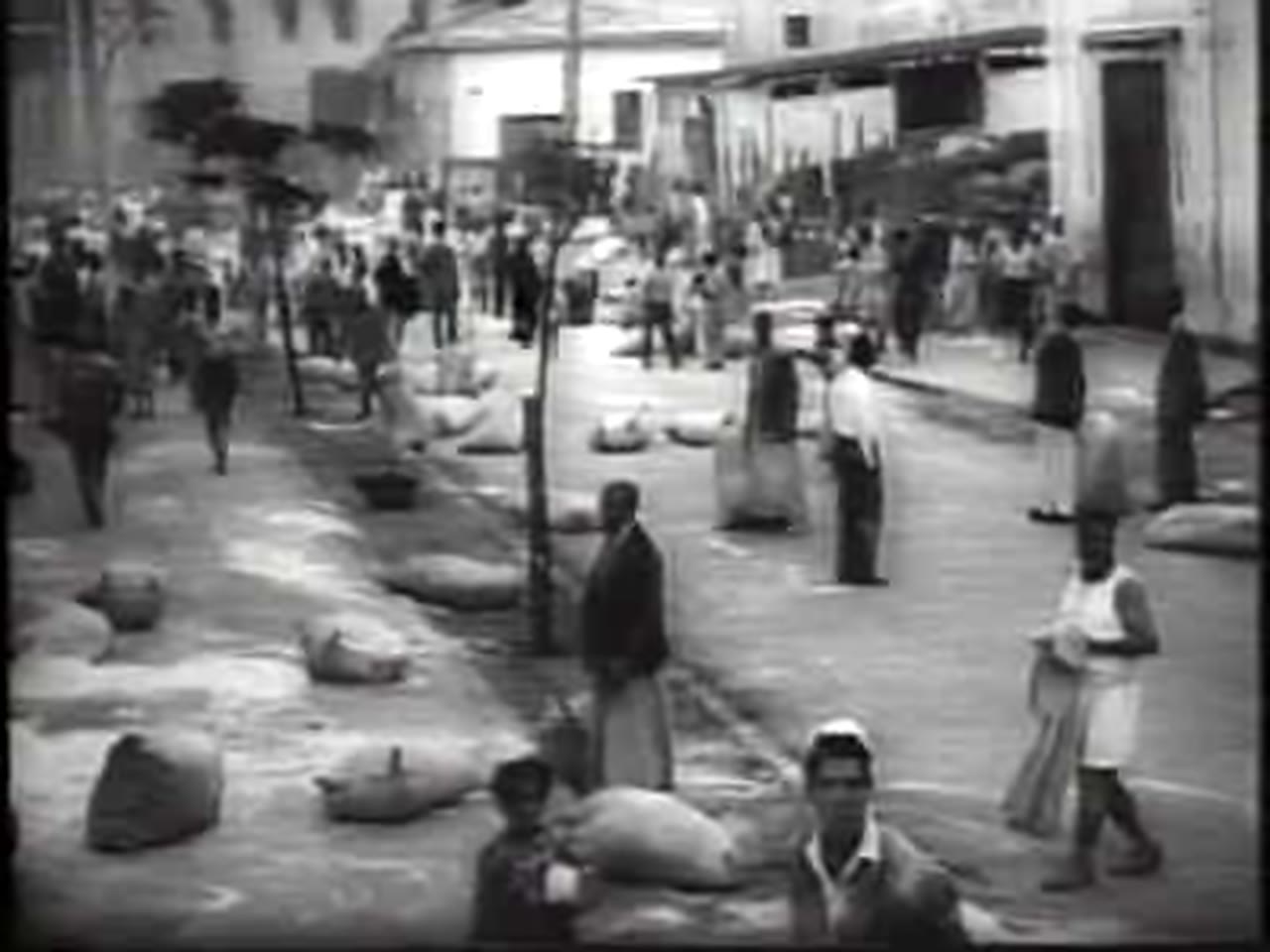 Universal Newsreel, 12 ноября 1956: Порт-Саид после боёв