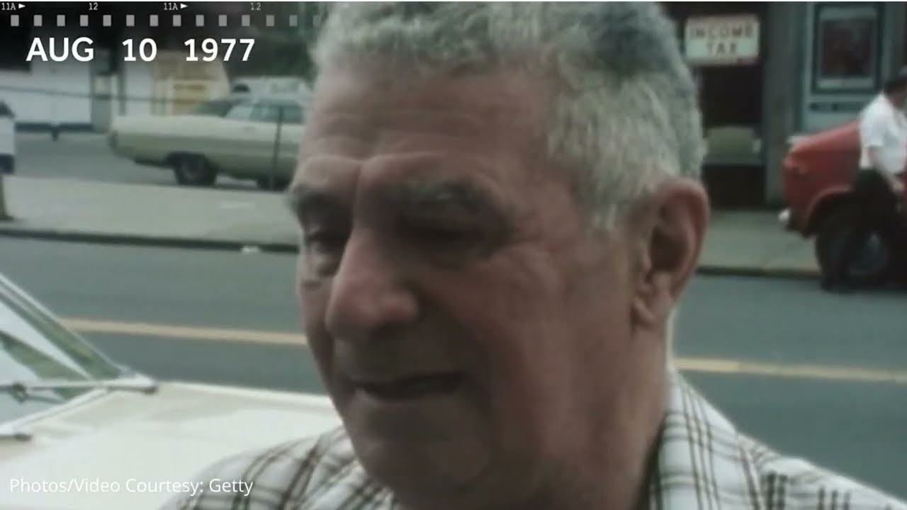 Арест «Сына Сэма», август 1977 года: хроника